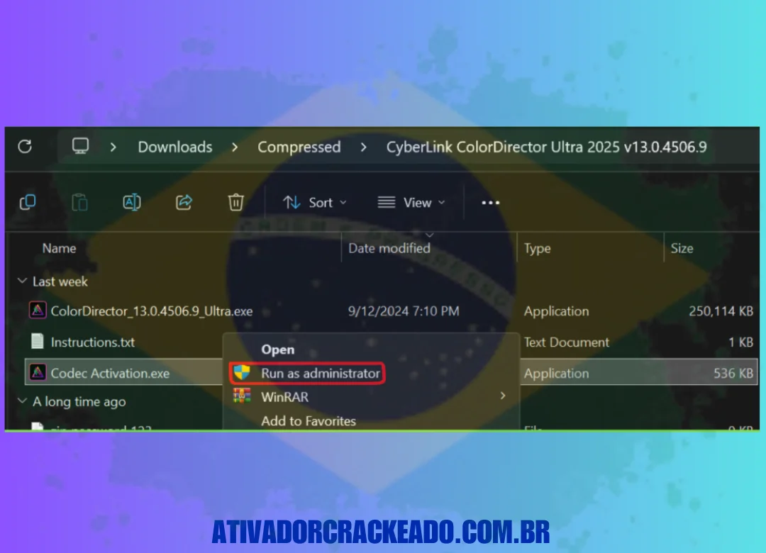 Instale o ativador no mesmo diretório do ColorDirector e execute-o como administrador.