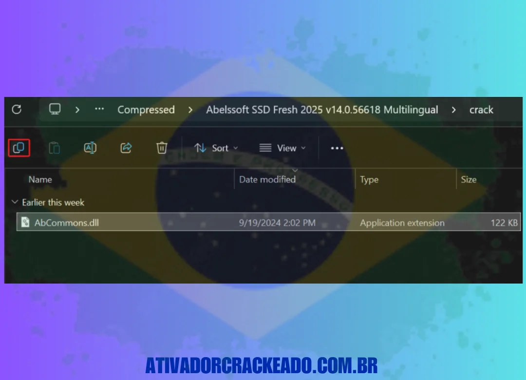 Substitua o arquivo original em CProgram FilesSSDFreshProgram por uma cópia de AbCommons.dll da pasta Crack.