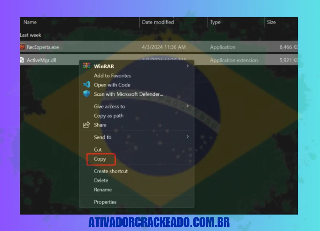 Abra a pasta Crack UZ1 e copie ambos os arquivos (RecExperts.exe e ActiveMgr.dll).