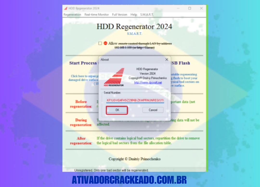 Copie a chave gerada e cole-a na seção de registro do software.