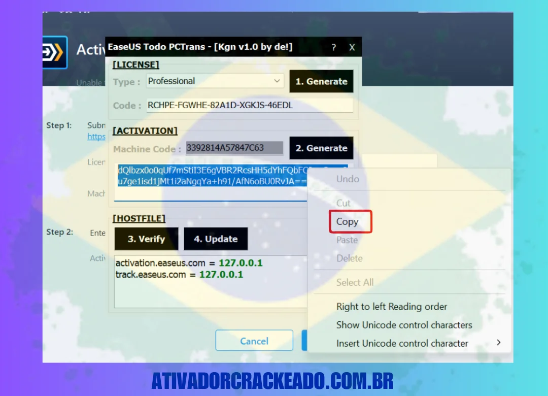 Copie o código de ativação gerado no keygen e cole-o na seção de código de ativação.