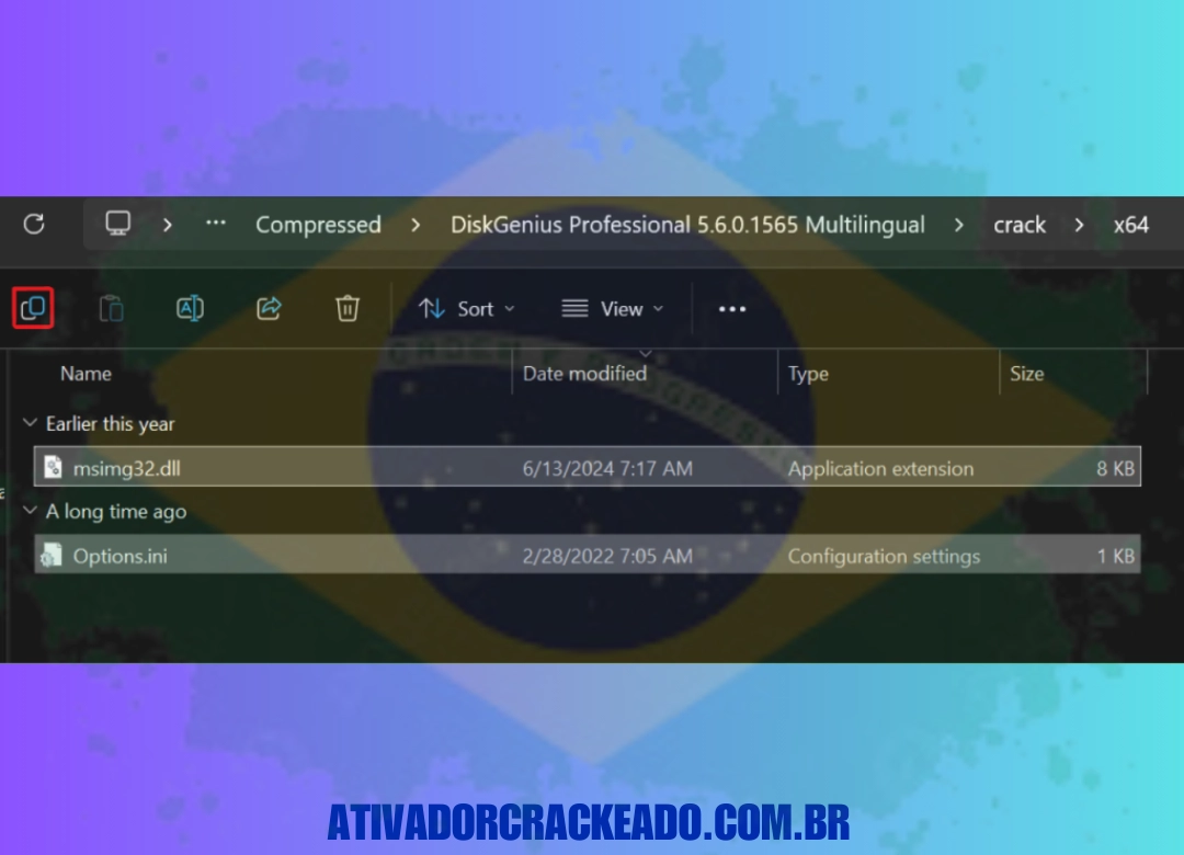 Copie os arquivos msimg32.dll e options.ini da pasta Crack e abra a pasta da versão que deseja ativar.