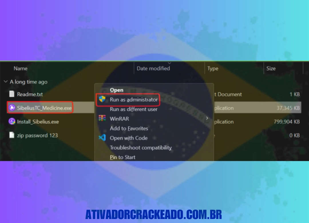 Execute o arquivo SibeliusTC_Medicine.exe como administrador,