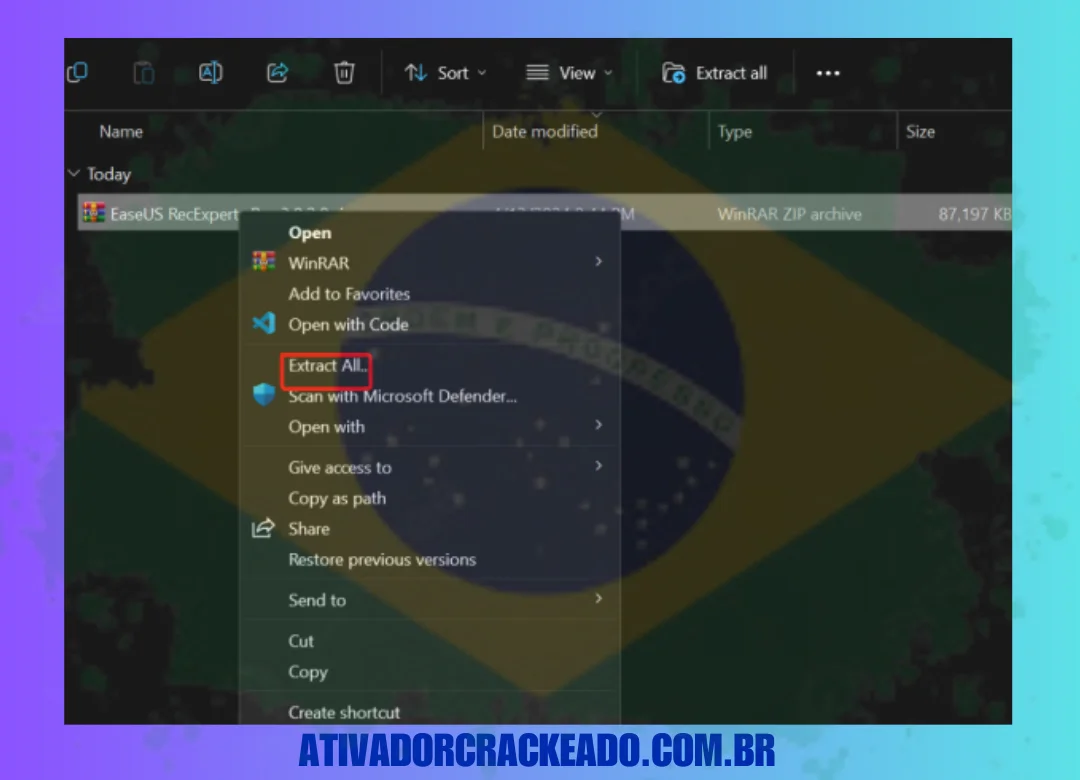 Extraia o arquivo baixado, clique duas vezes e execute o arquivo setup.exe.