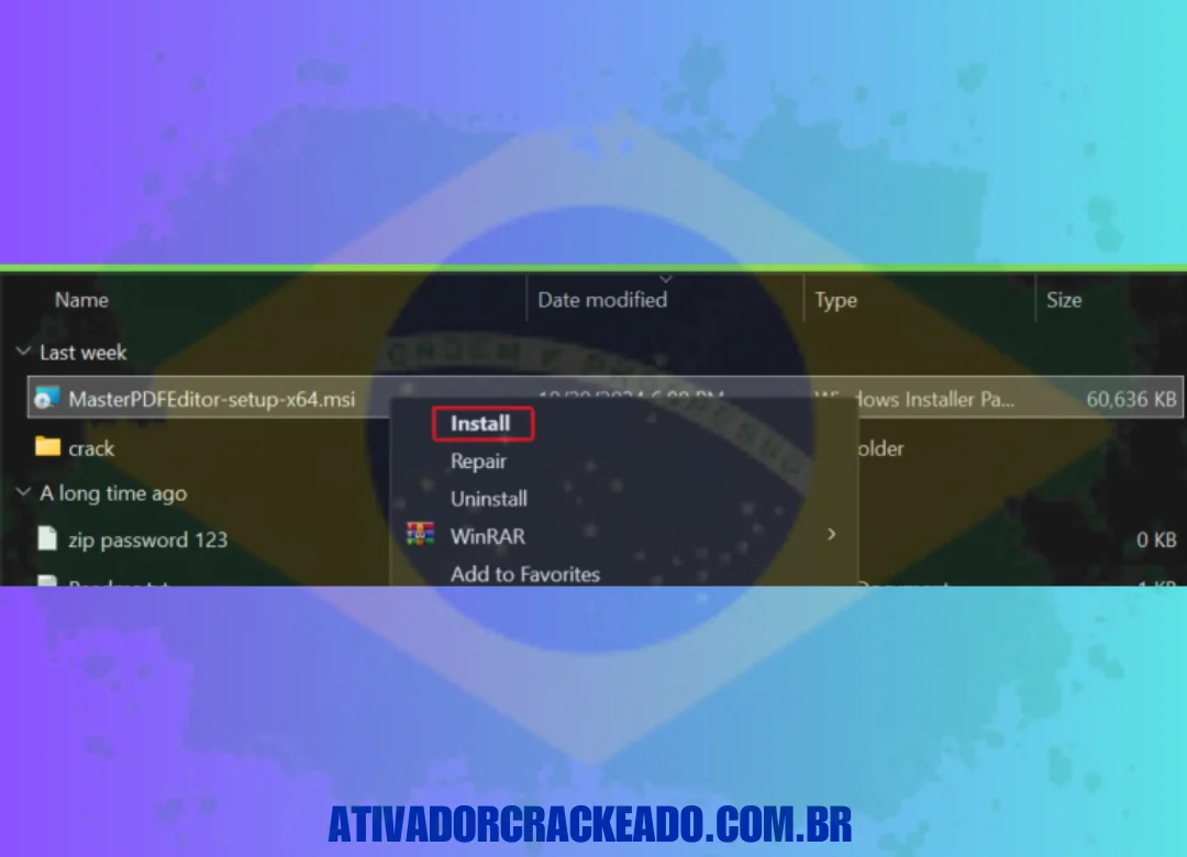 Extraia o arquivo baixado e execute o instalador. 