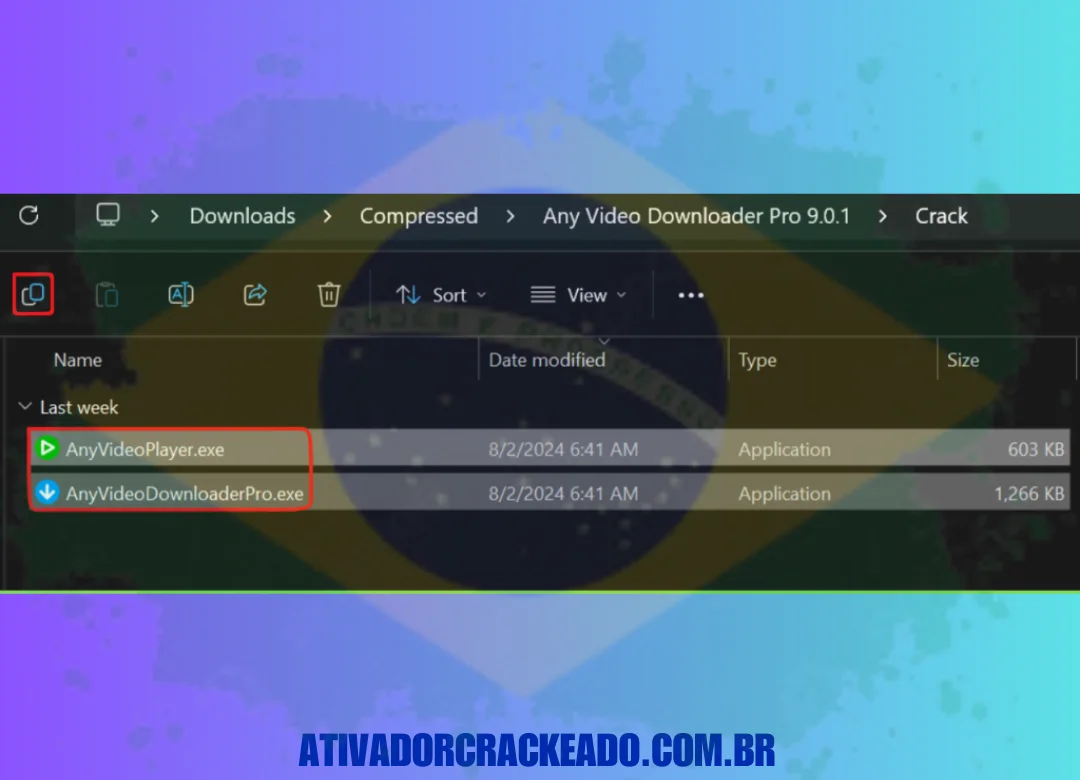 diretório de instalação após a instalação ser concluída. Ao adicionar esses arquivos, tenha cuidado ao selecionar a opção substituir.