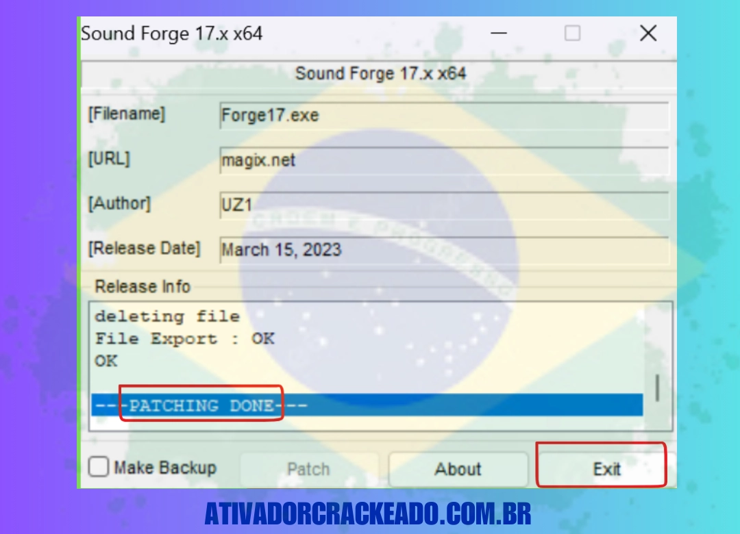 exe e então clicar em Patch. Você receberá uma mensagem de confirmação.