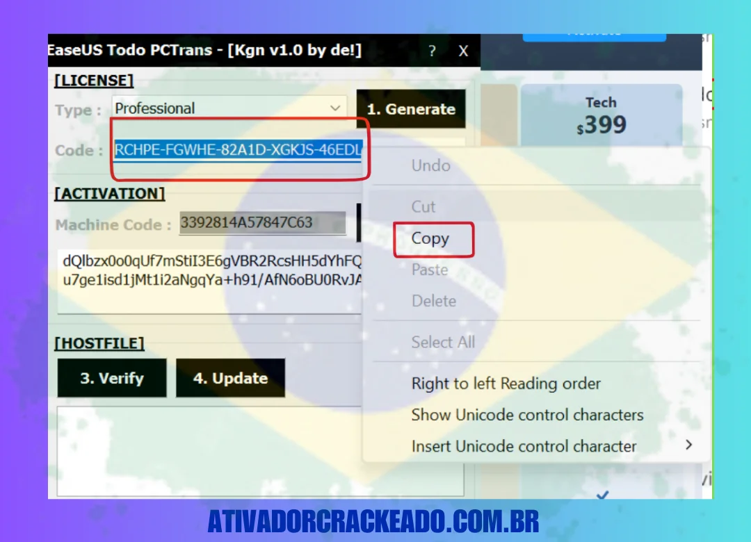 que geramos e cole no software. Depois de colar, clique em Activate.