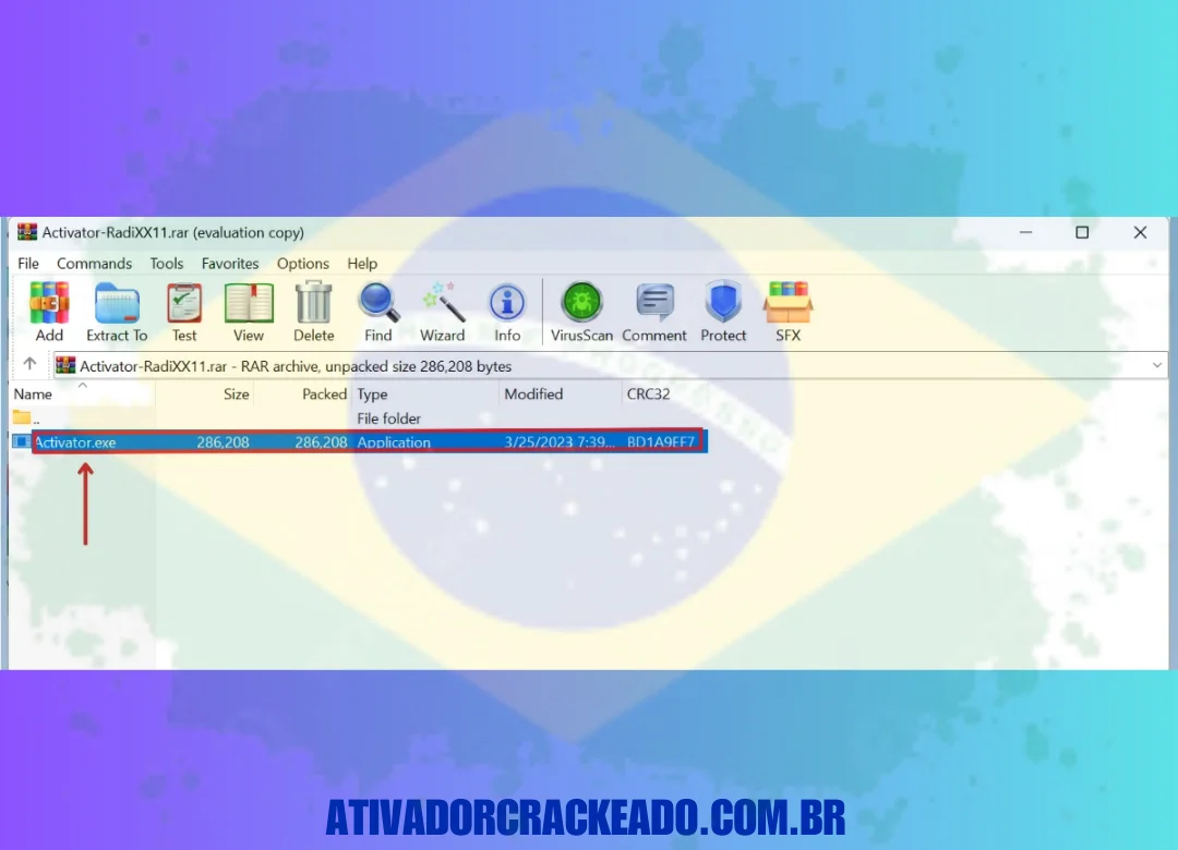 Agora, abra o arquivo Activator.exe.