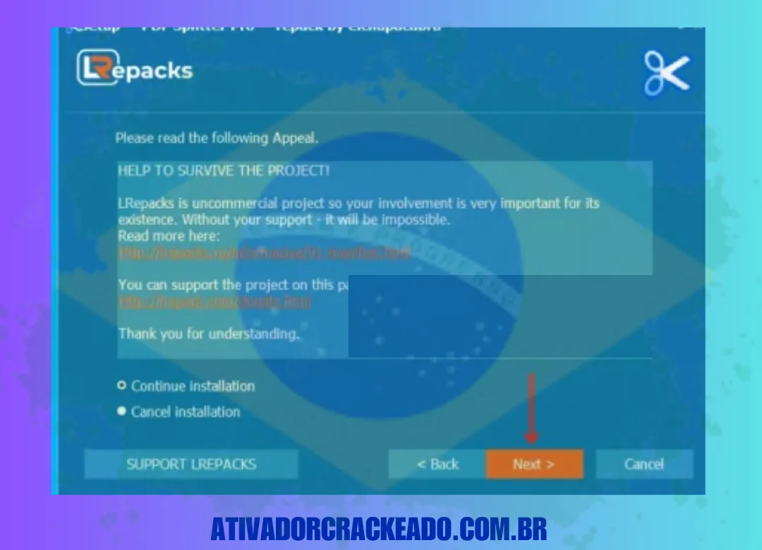 Em seguida, leia a declaração, selecione a opção Continuar instalação e clique em Avançar.