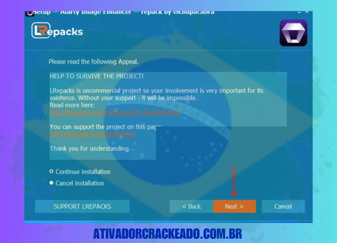 Em seguida, leia a declaração, selecione a opção Continuar instalação e clique em Avançar.