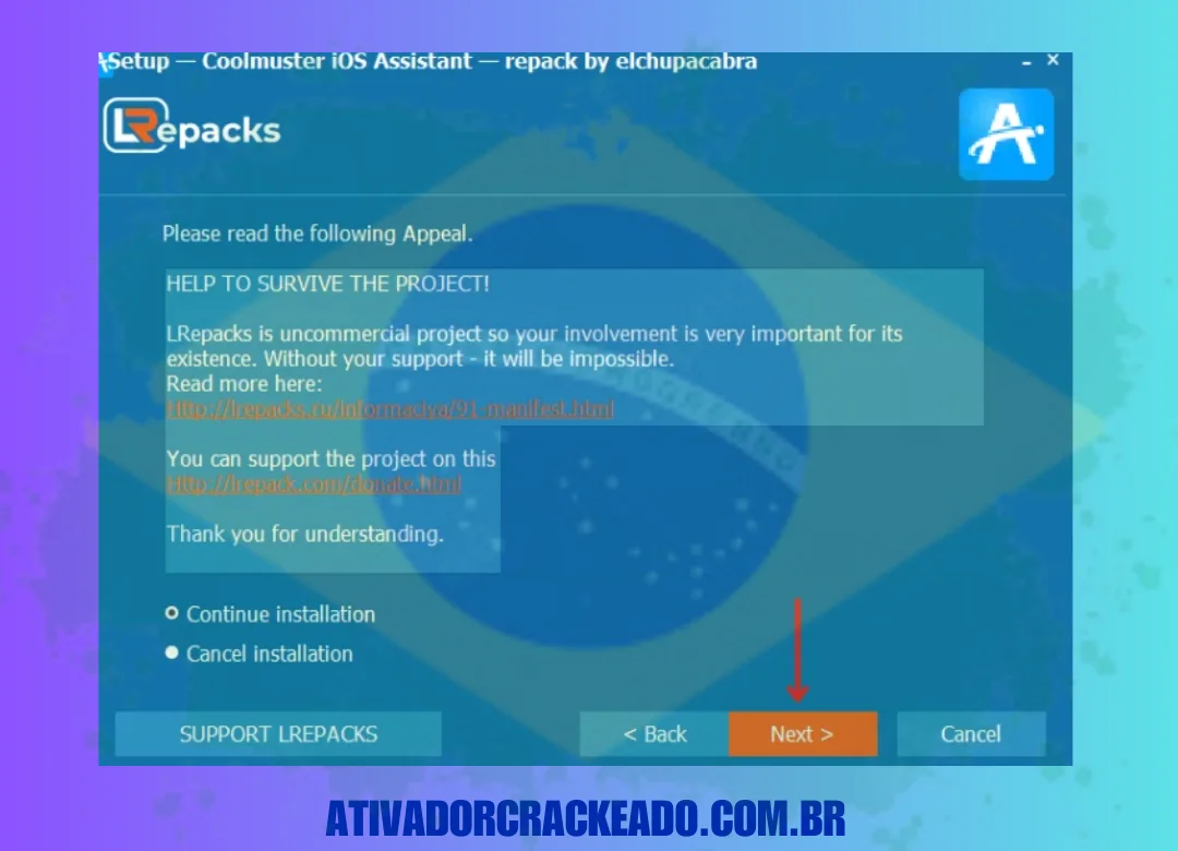 Em seguida, leia a declaração, selecione a opção Continuar instalação e clique em Avançar.