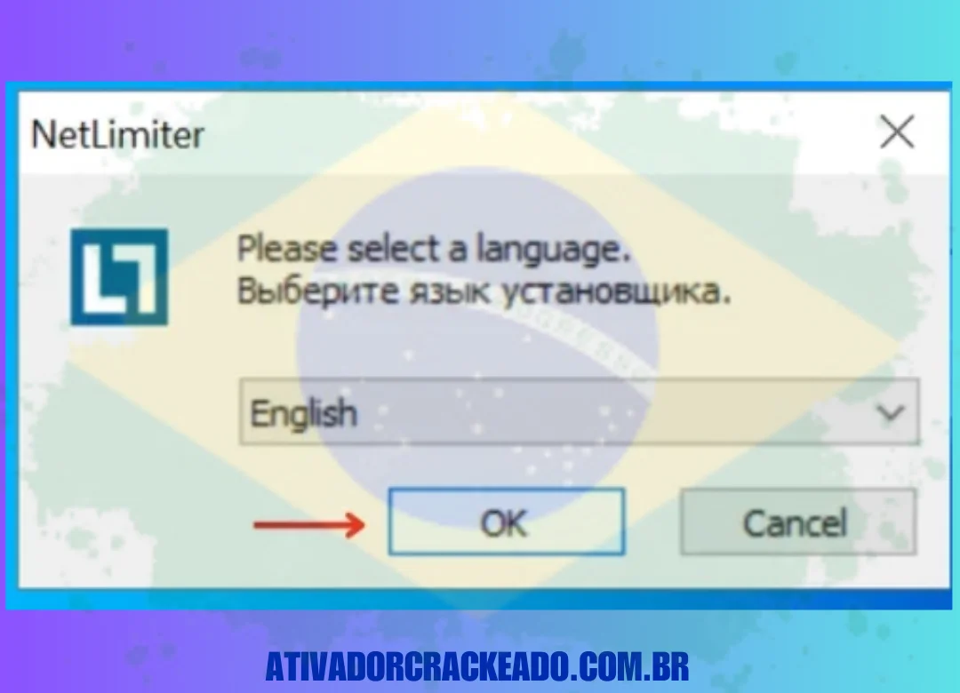 Primeiro, selecione um idioma e clique em Ok.