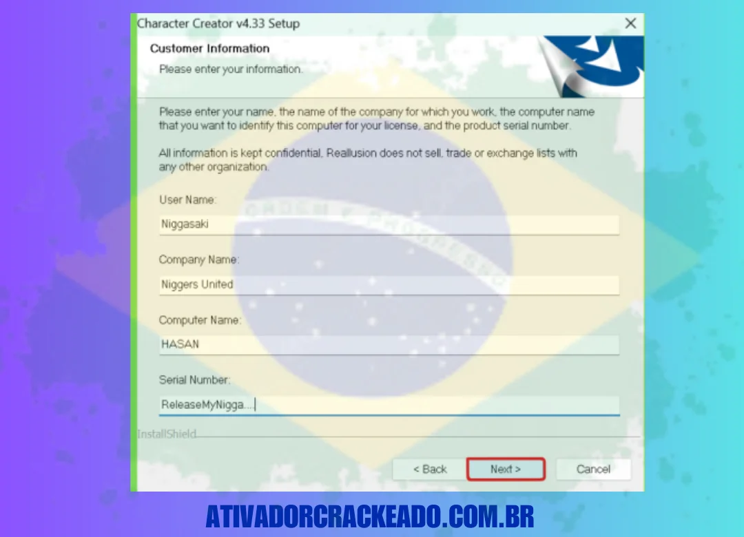 Insira qualquer nome de usuário, nome da empresa e número de série,