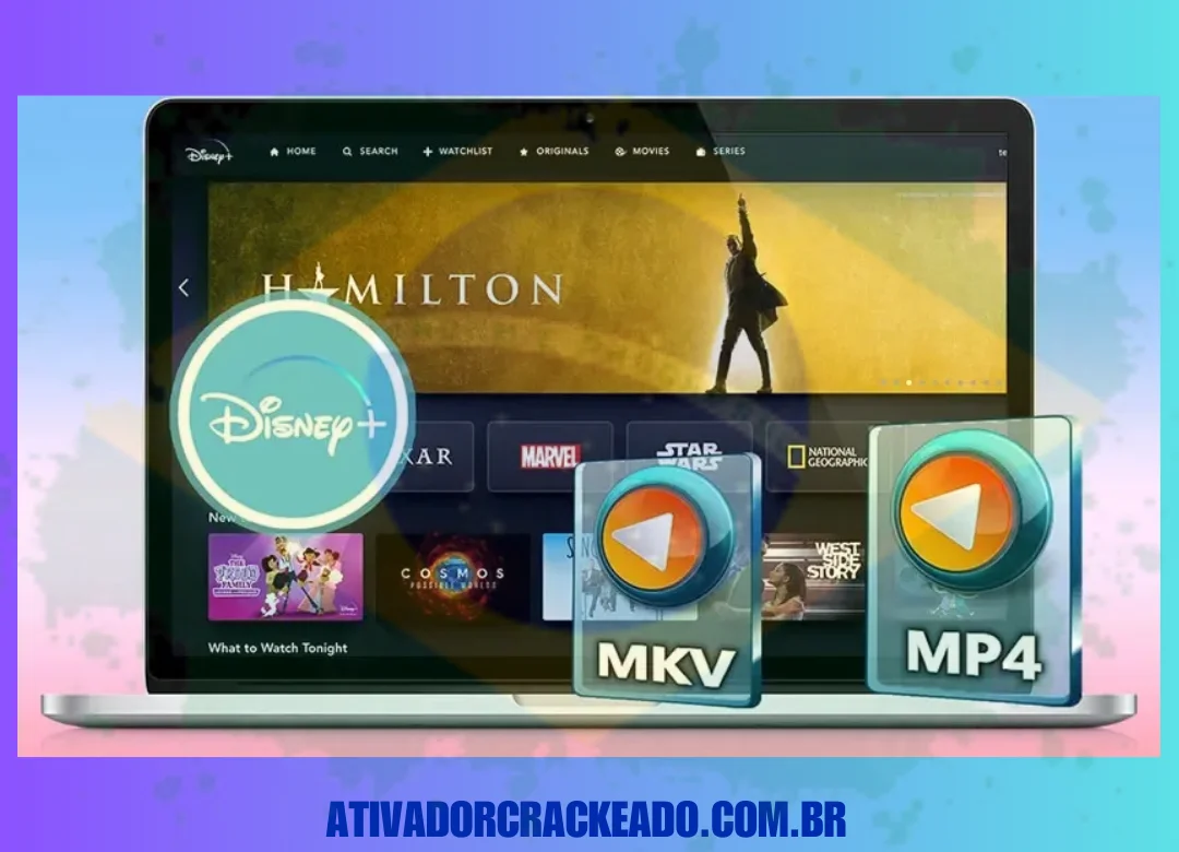 Pazu Disney+ Video Downloader Full Download Programas