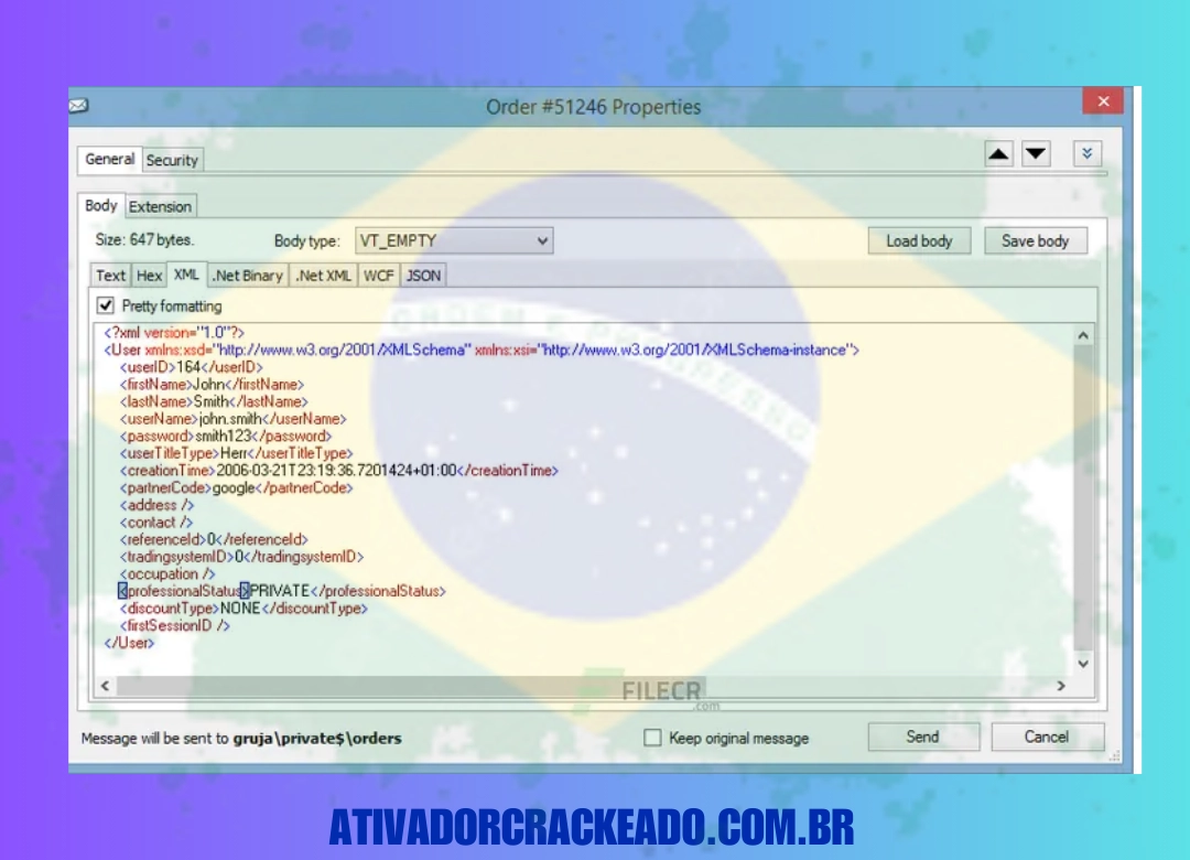 Como Instalar o QueueExplorer Professional em Português