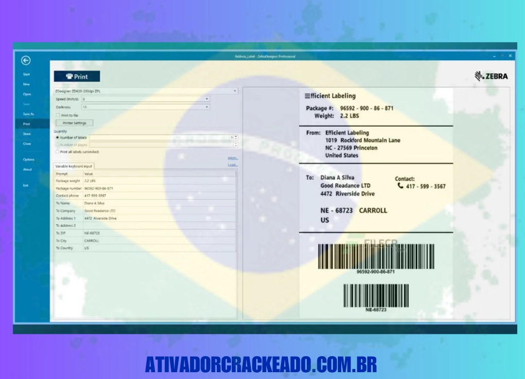 Como Instalar o ZebraDesigner Professional Português Licença Vitalícia