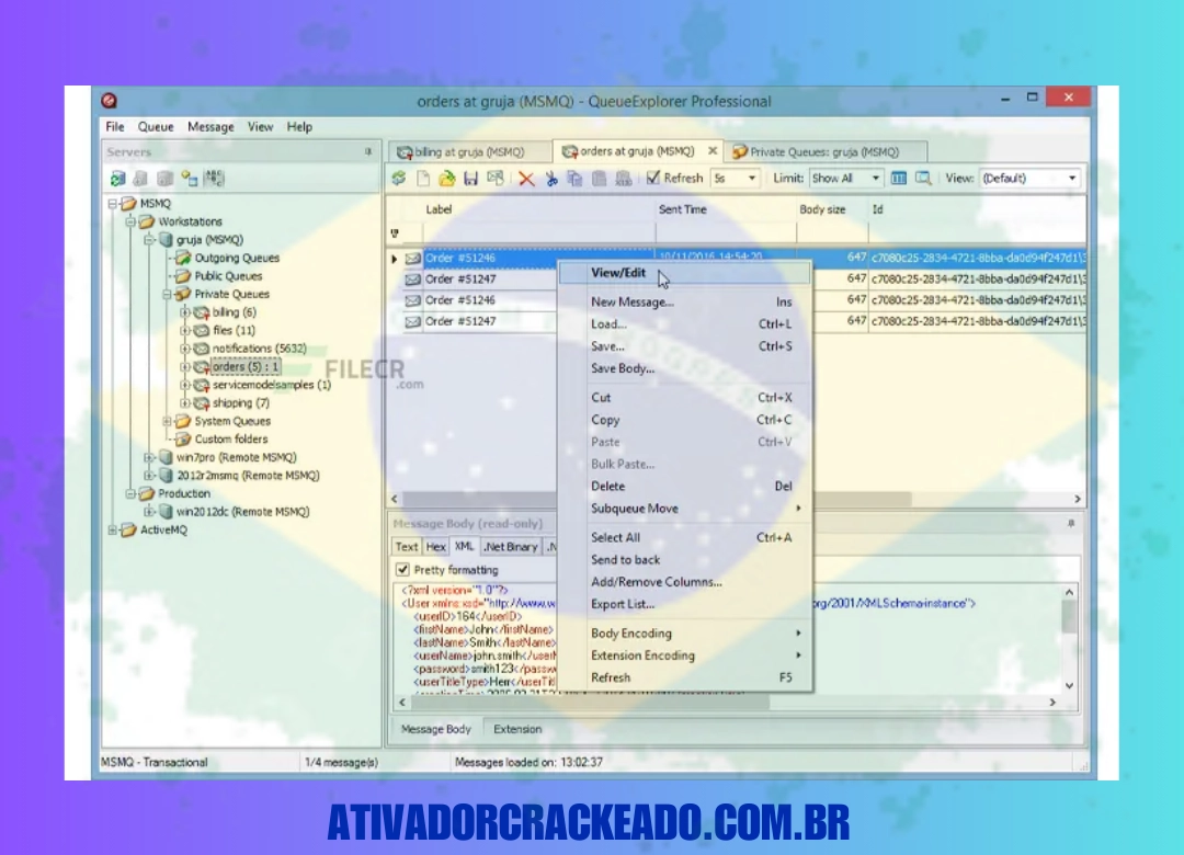 Vantagens do QueueExplorer Professional Não Requer Ativação