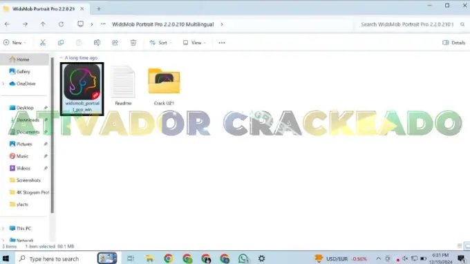 Depois disso, execute o instalador do WidsMob Portrait Pro. A melhor prática é executá-lo como administrador.