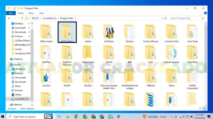 Em seguida, abra a pasta com o nome ACD Software.