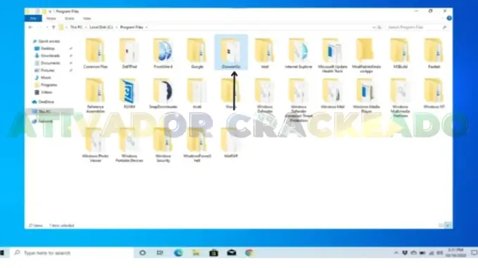 Na pasta Arquivos de Programas, abra a pasta iDownerGo.